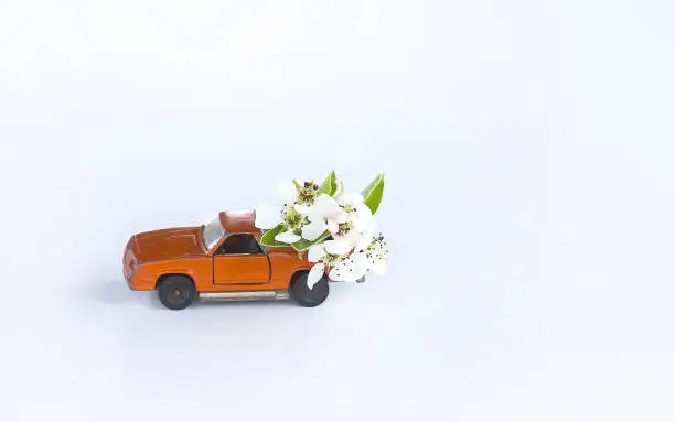 Photo of Vintage toy car with cherry tree flowers
