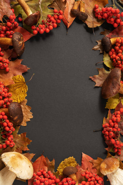 istock Thanksgiving day black background frame decorated with forest mushrooms, rowan berries and autumn leaves. Autumn still life. Halloween holiday. 1287168119