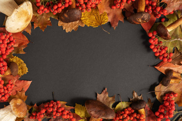 istock Thanksgiving day black background frame decorated with forest mushrooms, rowan berries and autumn leaves. Autumn still life. Halloween holiday. 1287168330