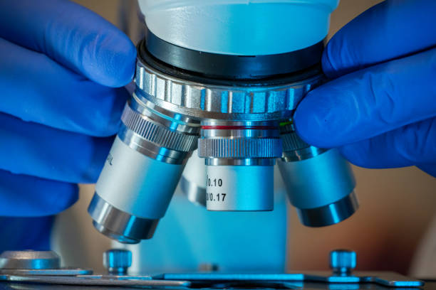 istock Hands of scientist adjusting microscope in laboratory. 1287174084