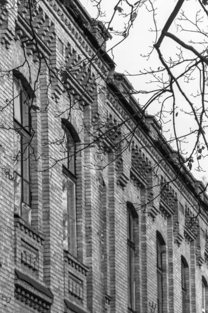 istock Branches without foliage near a brick building 1287174110