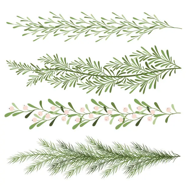 Vector illustration of Set of christmas plants. Sprigs of mistletoe, coniferous branches. Long scenery. New year illustration