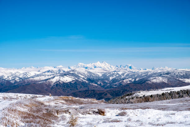 красивый осенний пейзаж в горах алтая. вид на гору belukha. - kazakhstan glacier snow mountain view стоковые фото и изображения