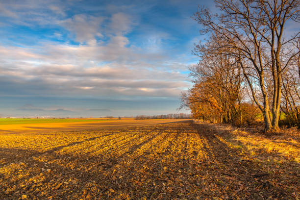istock Autumn plowed field at amazing sunrise. 1287179601