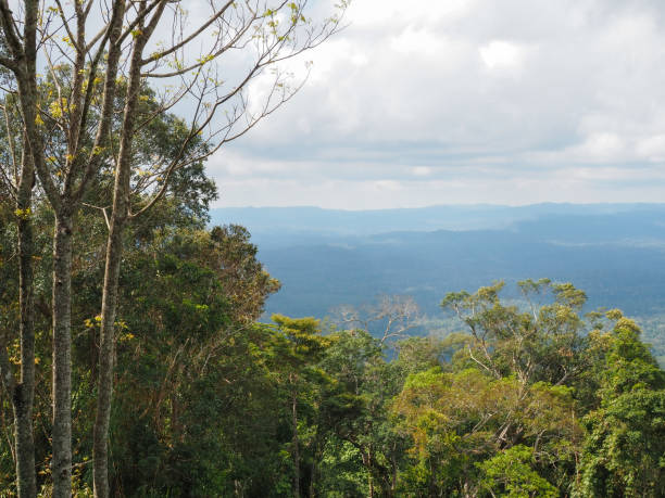 istock Forest and mountain views On the background is the sky with white clouds. 1287181557
