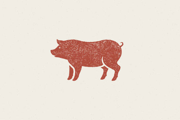 ilustraciones, imágenes clip art, dibujos animados e iconos de stock de silueta de cerdo rojo para la industria cárnica o los agricultores comercializan ilustración vectorial de efecto sello dibujado a mano - cerdo