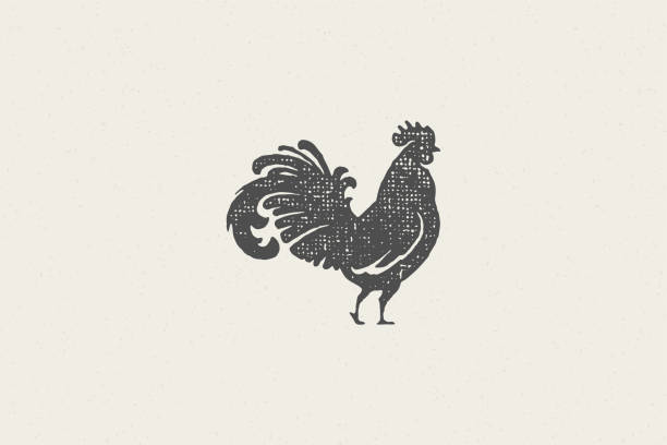 Rooster silhouette for poultry farm industry hand drawn stamp effect vector illustration Rooster silhouette for poultry farm industry hand drawn stamp effect vector illustration. Vintage grunge texture emblem for butchery packaging and menu design or label decoration label silhouettes stock illustrations
