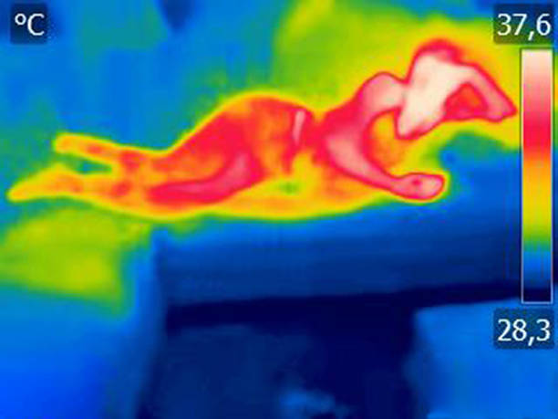 istock Thermal image Young woman is lying on the bed 1287186317