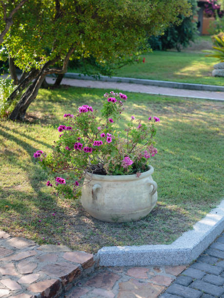 istock Antique Decorative Vase in Stone inside Park with Violet Flowers 1287190282