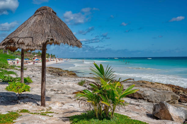 istock Tropical Beach on Caribbean Sea. Mexico. 1287190583