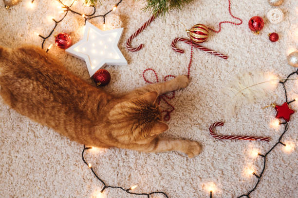 istock Ginger cat play near the Christmas garland. 1287190866