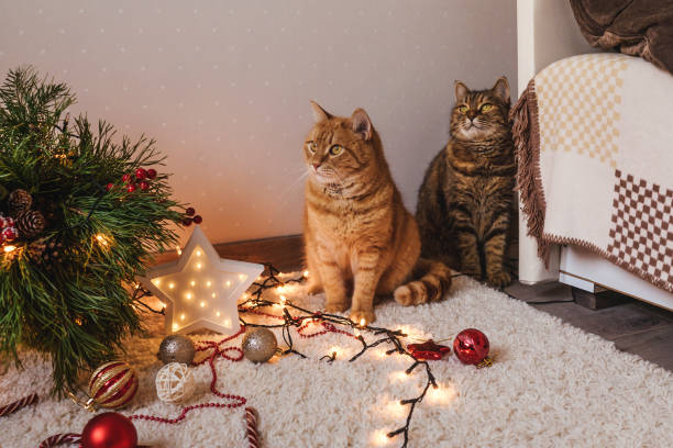 istock Two cats near the Christmas tree. 1287190885