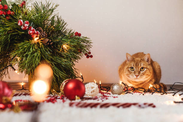 istock Ginger cat lie near the Christmas tree. 1287190889