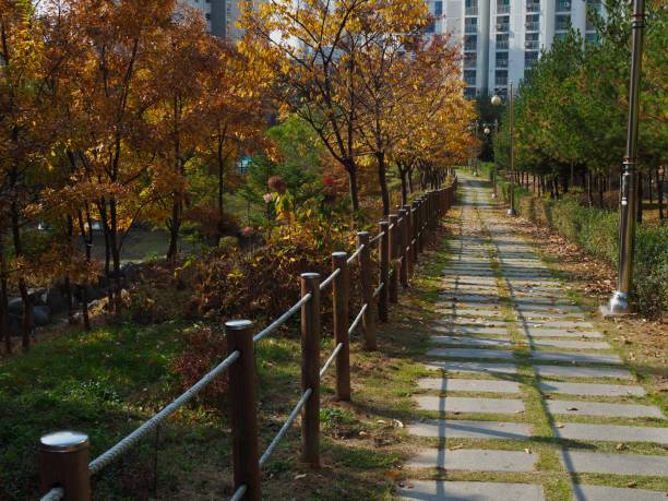 istock Forest road in autumn park in korea 1287199365