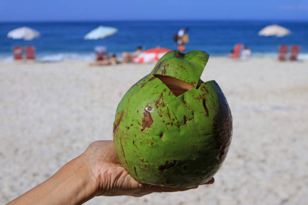 istock Fresh young coconut on hand with blurry sandy beach and blue sea in background 1287204577