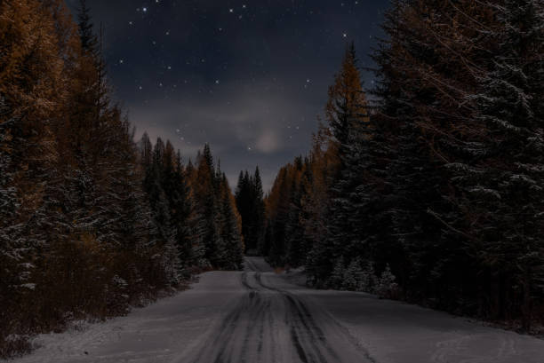istock road snow forest spruce stars night autumn 1287206046