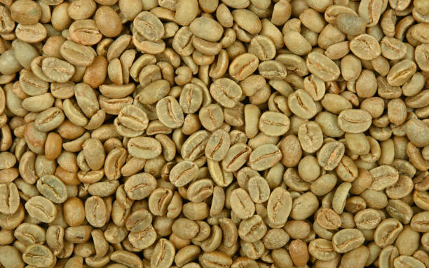 istock Background of unroasted raw green coffee beans 1287208070