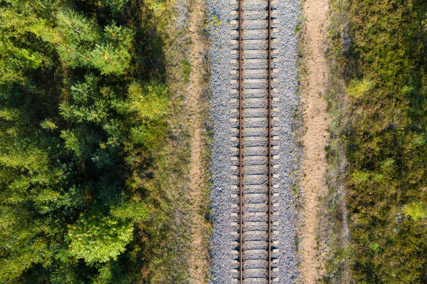 istock Railway through autumn forest. Aerial view 1287211750