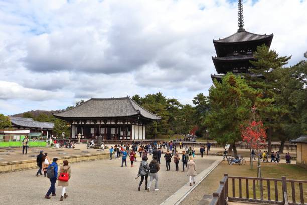 奈良神廟， 日本 - 興福寺 奈良 個照片及圖片檔