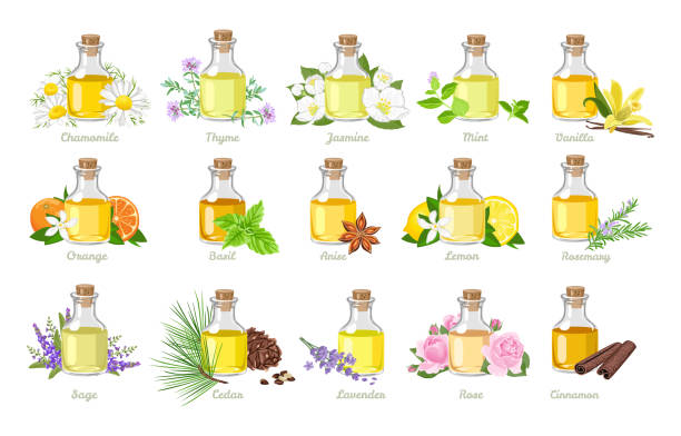 ilustraciones, imágenes clip art, dibujos animados e iconos de stock de conjunto de aceites esenciales en botellas de vidrio, hierbas y flores. ilustración vectorial en estilo plano de dibujos animados. aromaterapia. - aromatic oil