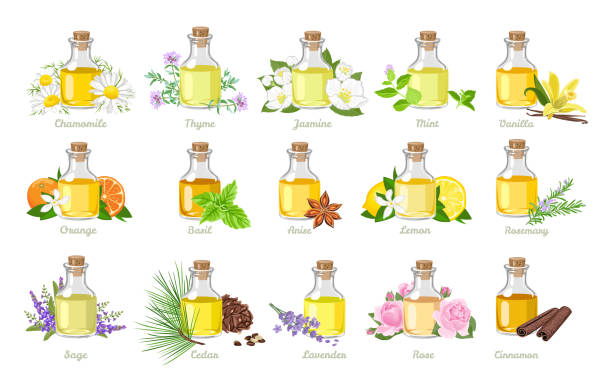 illustrations, cliparts, dessins animés et icônes de ensemble d’huiles essentielles dans des bouteilles en verre, des herbes et des fleurs. illustration vectorielle dans le modèle plat de dessin animé. aromathérapie. - aromatic oil