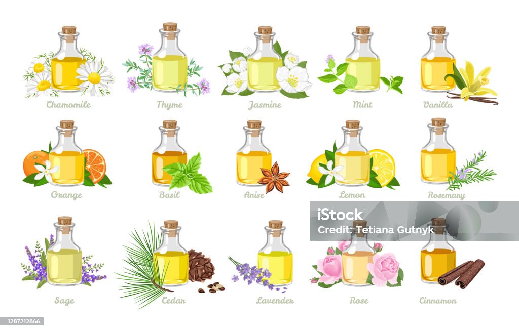 Set Of Essential Oils In Glass Bottles Herbs And Flowers Vector  Illustration In Cartoon Flat Style Aromatherapy Stock Illustration -  Download Image Now - iStock
