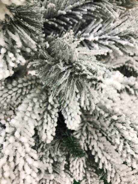 istock Branches of Christmas tree completely covered with snow close-up, full frame, use for background 1287217277