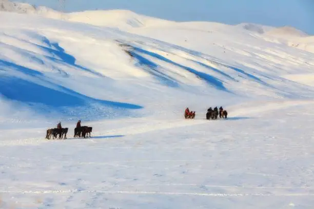 The climate in Winter in Mongolia is quite cold