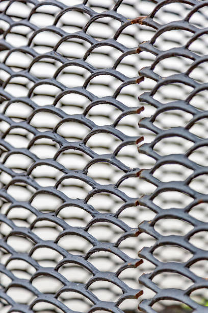 istock Metal protective lattice for garden and backyard 1287219378