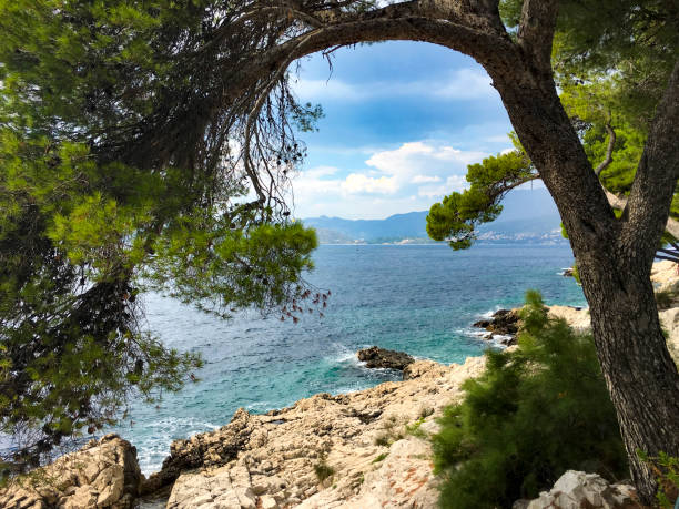Idyllic view on the beach of the Adriatic sea in Cavtat Rocky beach with green vegetation at the Adriatic sea, Cavtat. cavtat photos stock pictures, royalty-free photos & images