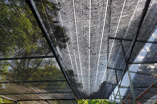 istock Weaved plastic shade to protect and avoid direct sunlight to the plants 1287222287