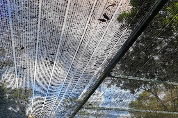 istock Weaved plastic shade to protect and avoid direct sunlight to the plants 1287222355