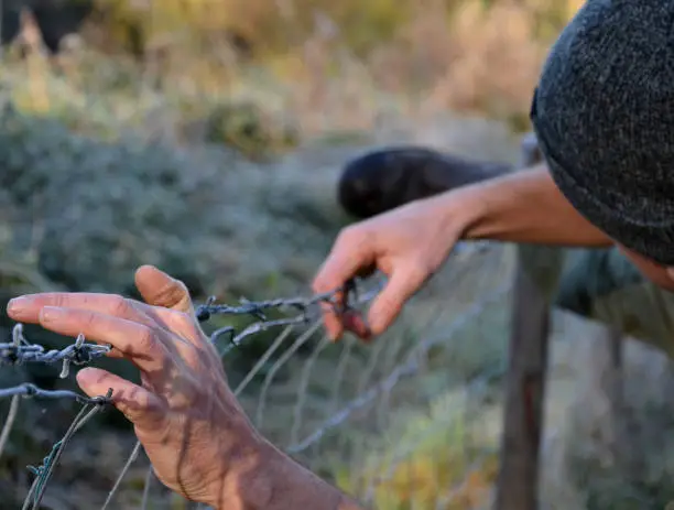 Photo of overcoming a barbed wire fence, roadblock with concrete cones against vehicles. the iron curtain divides nations. climb over the refugee fence to prick the wires. hang by the legs down. stretching his arms over the fence of a refugee camp.