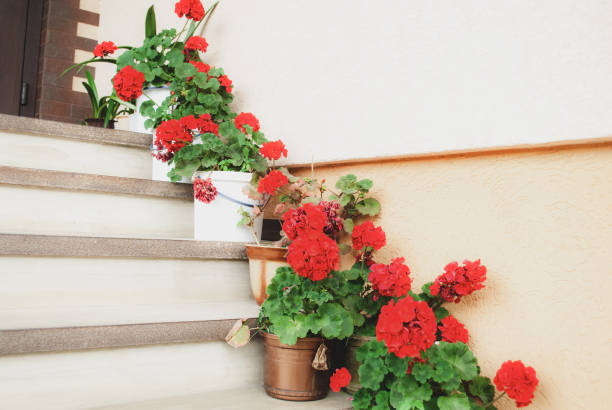 Shot of spiral steps in a building with potted plants