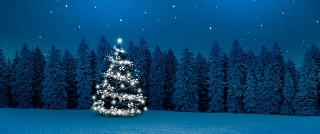 Bright shiny  Christmas tree in a winter forest at night