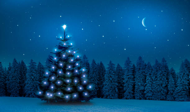 istock Bright shiny  Christmas tree in a winter forest at night 1287227292
