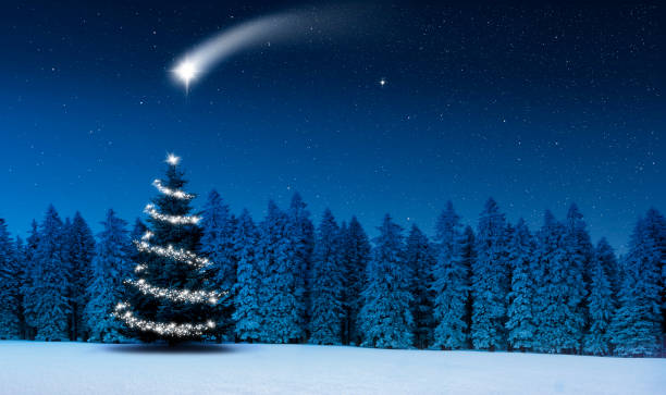 istock Bright shiny  Christmas tree in a winter forest at night 1287227328