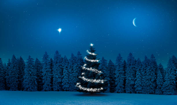 istock Bright shiny  Christmas tree in a winter forest at night 1287227339