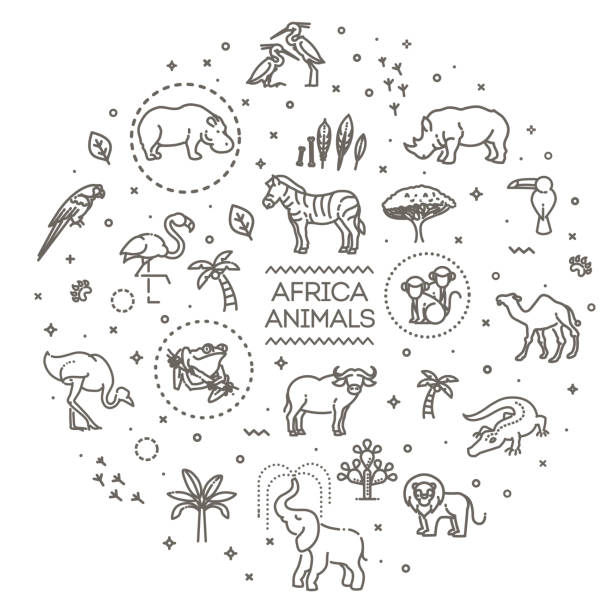 vektor. satz von linearen vektor afrikanischen tieren - camel desert travel safari stock-grafiken, -clipart, -cartoons und -symbole
