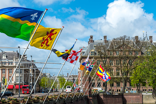 flags of the 12 provinces of The Netherlands at the flower-lined quay of the pond next to the Houses of Parliament