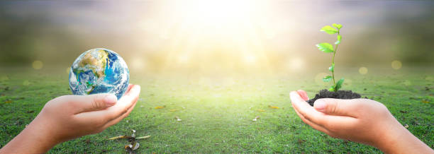 istock hands holding earth globe and tree over blurred nature background. Elements of this image furnished by NASA 1287232472
