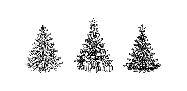 Set of Hand drawn decorated Christmas trees with gift boxes isolated on white background. Design element for Christmas cards, invitations, decorations. Vector illustration in sketch style