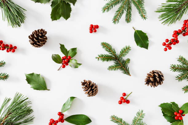 istock Collection of decorative Christmas plants. 1287235791