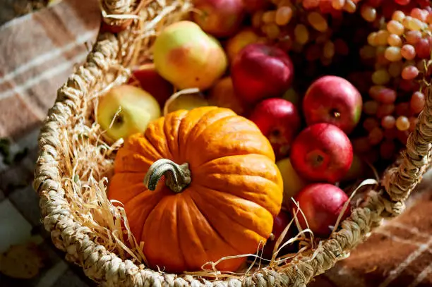 Basket with apples and pumpkin. Autumn decor for a photo shoot.