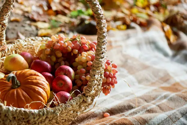 Basket with apples and pumpkin. Autumn decor for a photo shoot.