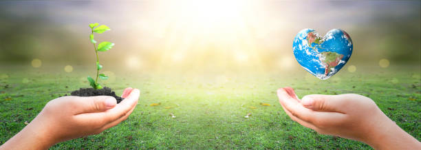 hands holding earth globe and tree over blurred nature background. Elements of this image furnished by NASA
