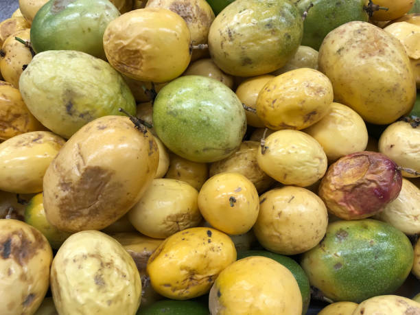 istock A group of passion fruit 1287238808