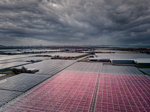 Westland, Netherlands - November 5, 2020: aerial view of modern agricultural greenhouses in the Netherlands that uses LED lights to support the growth of the plants