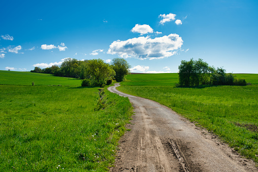 dirty road between meadows in the summer