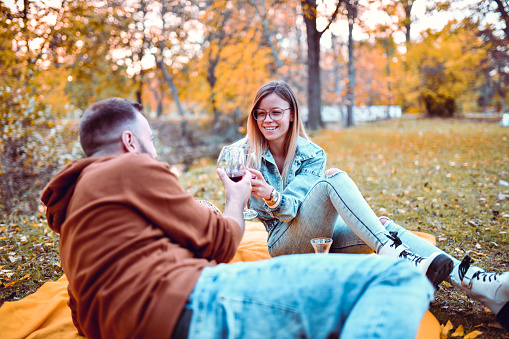 Picnic Celebratory Toast By Cute Couple In Autumn Park Picnic